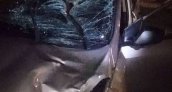 Cavalo solto na pista causa acidente em rodovia