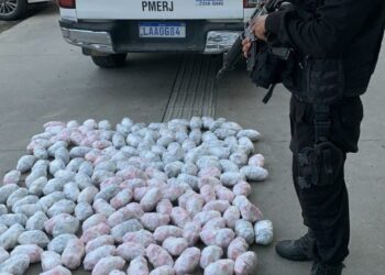 Dupla presa com mais de 14 mil pinos de cocaína