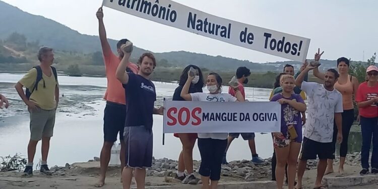 Moradores desobstruem manguezal em Cabo Frio