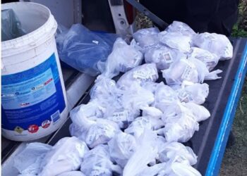 PM apreende grande quantidade de cocaína em Campos dos Goytacazes