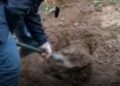 Homem é flagrado enterrando drogas em Campos dos Goytacazes