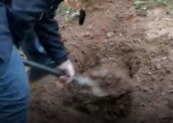 Homem é flagrado enterrando drogas em Campos dos Goytacazes