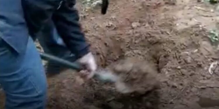 Homem é flagrado enterrando drogas em Campos dos Goytacazes