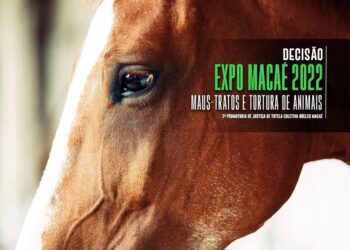 MPRJ obtém decisão para impedir maus-tratos aos animais na Expo Macaé 2022￼