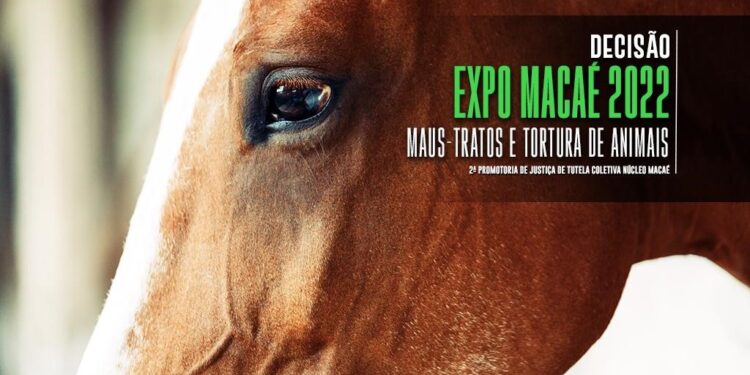 MPRJ obtém decisão para impedir maus-tratos aos animais na Expo Macaé 2022￼