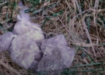 PM apreende carga de drogas na Região