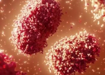 Mais dois casos de varíola dos macacos em Maricá