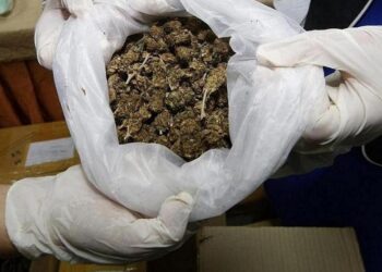 Mulher joga sacola com maconha no Rio Paraíba do Sule vai presa