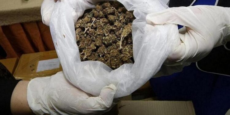 Mulher joga sacola com maconha no Rio Paraíba do Sule vai presa