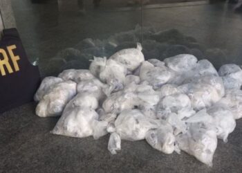 PRF apreende mais de 8 mil pinos de cocaína em Campos
