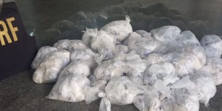 PRF apreende mais de 8 mil pinos de cocaína em Campos