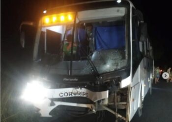 Acidente com animais e ônibus quase termina em tragédia