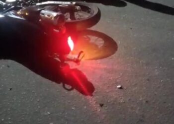 Motociclista morre após colidir com boi em estrada