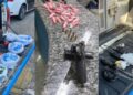 Polícia prende 12 criminosos e ‘sufoca’ o tráfico na Região