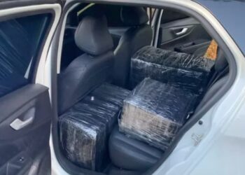 Ação Policial apreende 300 kg de maconha na BR-101