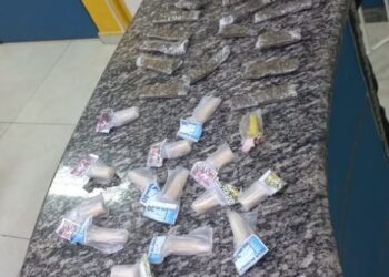 Policia apreende carga de entorpecentes na Região