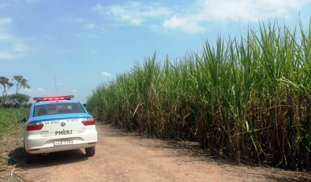 Idoso é encontrado morto em canavial