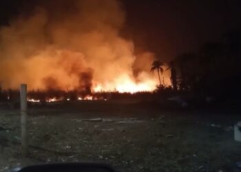 Dois homens são detidos por atear fogo em canavial