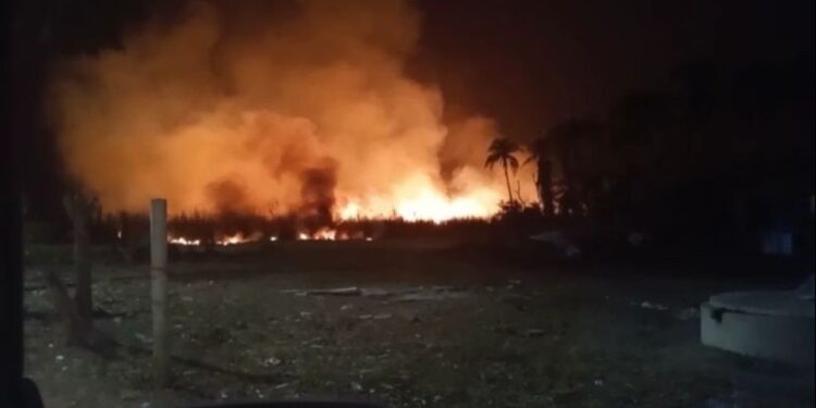 Dois homens são detidos por atear fogo em canavial