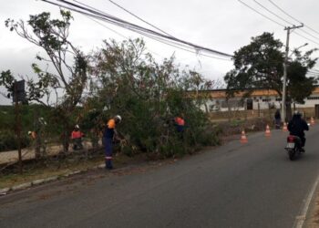 Defesa Civil mantém alerta de ventos fortes para este sábado em Campos dos Goytacazes
