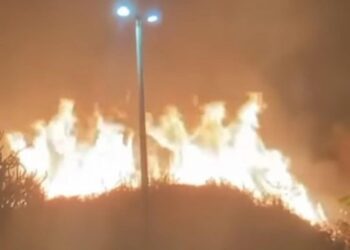 Incêndio de grande proporção atinge vegetação na Zona Rural de Campos