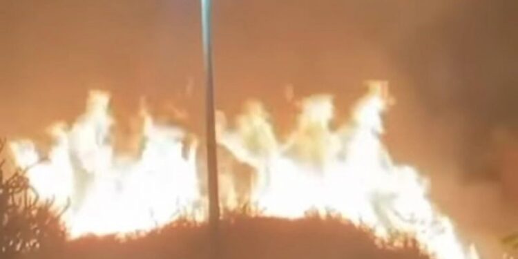 Incêndio de grande proporção atinge vegetação na Zona Rural de Campos