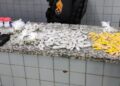 Policiais apreendem drogas após fuga de suspeitos