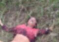 Mulher é encontrada morta e seminua na Região