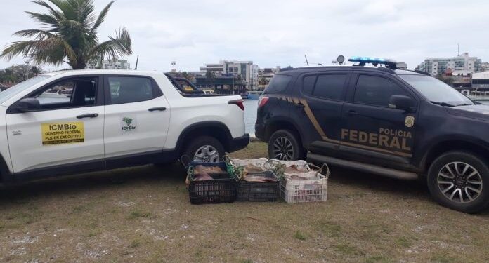 PF e ICMBio prendem homem com 200 kg de pescado na Reserva Extrativista da Marinha de Arraial do Cabo