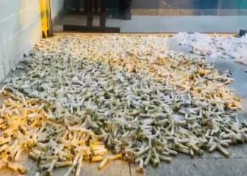 PM apreende farta quantidade de drogas dentro de restaurante