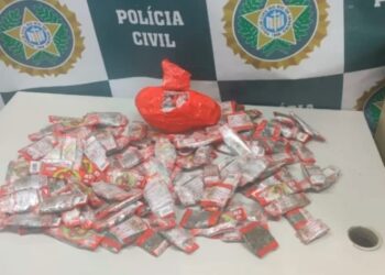 Mulher é presa tentando transportar drogas do Rio para a Região