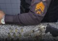Troca de tiros termina com um preso em Campos dos Goytacazes