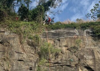 Cãozinho preso em talude é resgatado em Macaé