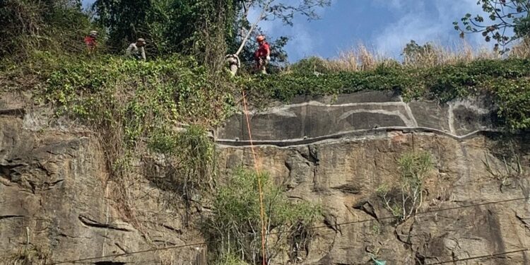 Cãozinho preso em talude é resgatado em Macaé