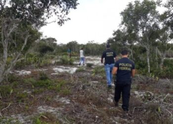 PF realiza operação em combate ao desmatamento ilegal em unidade de conservação federal