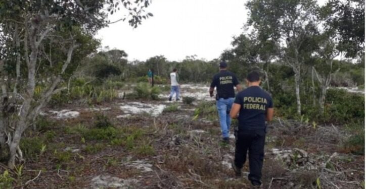 PF realiza operação em combate ao desmatamento ilegal em unidade de conservação federal