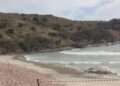 Carcaça de baleia é encontrada em praia de Búzios