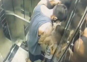 Lutador acusado de espancar enteado de 4 anos se entrega à polícia