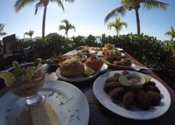 Veja “Qual é a boa” deste final de semana na região