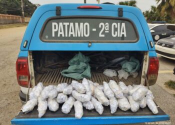 Traficante é preso com quase 4 mil pinos de cocaína em São Pedro da Aldeia