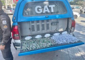 Mais de três mil cápsulas de cocaína foram apreendidas em Cabo Frio, nessa sexta-feira