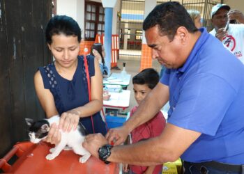Vacinação antirrábica acontece neste sábado em Rio das Ostras