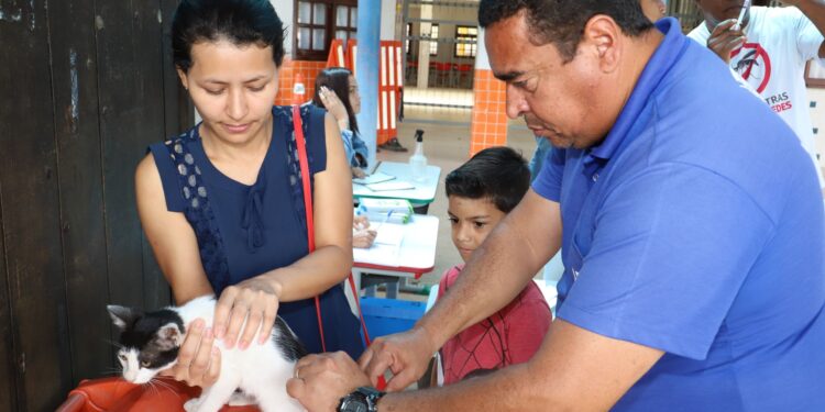 Vacinação antirrábica acontece neste sábado em Rio das Ostras