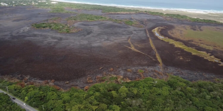 Cerca de 120 hectares de vegetação são desmatados em incêndio em Cabo Frio