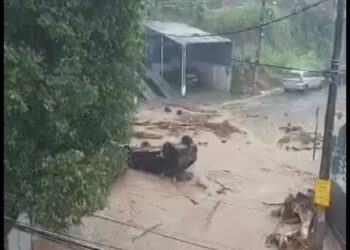 Águas arrastam carros e árvores no Norte Fluminense