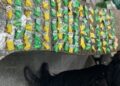 PM prende mulher em liberdade provisória com drogas em Araruama