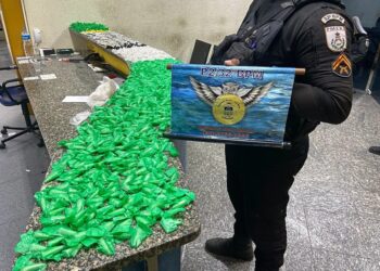 Grande quantidade de drogas é apreendida após denúncia de tentativa de homicídio em Macaé