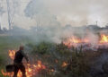 Incêndio é registrado na Restinga do Barreto