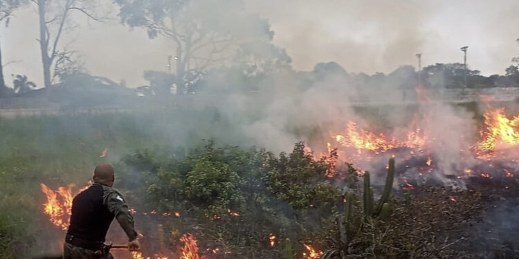 Incêndio é registrado na Restinga do Barreto