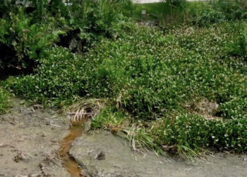 Imagens aéreas mostram tubulações na Lagoa de Imboassica